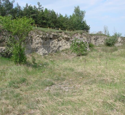 karabosy_fot.P.Szumilas